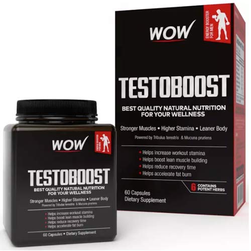 Wow Testosterone Booster Multivitamin Naturally Boost Your Stamina, Endurance, Strength - Burn Fat & Build Lean Muscle Mass Today 60 capsules, India