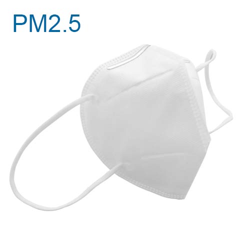 PM2.5 Mask 1pc