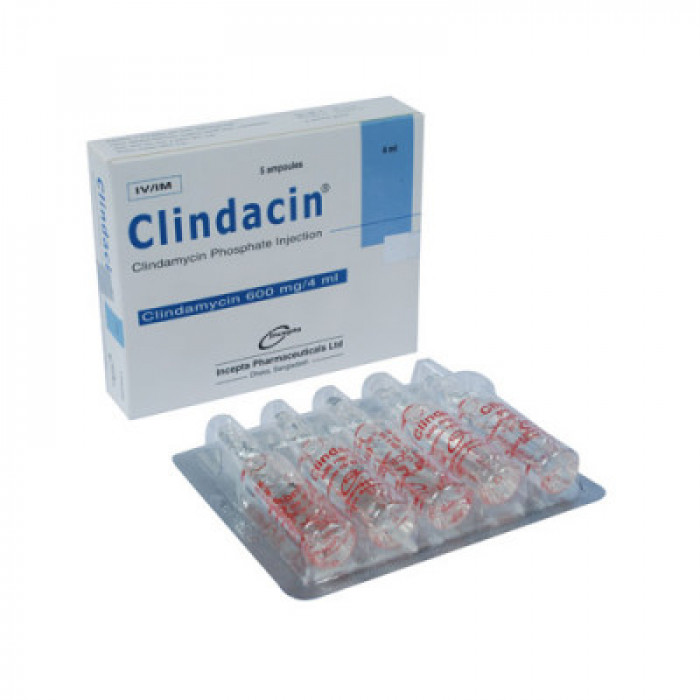 Clindacin-IV/IM 600 Injection