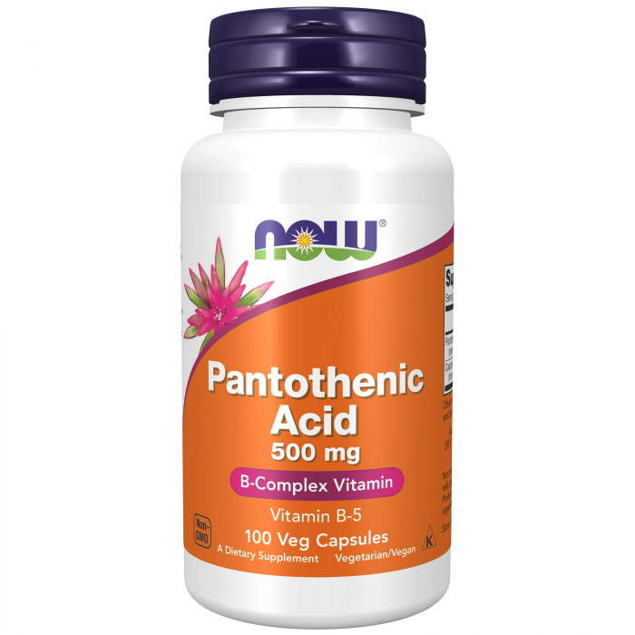 NOW Foods Pantothenic Acid 500mg, 100 Veg Capsules | USA