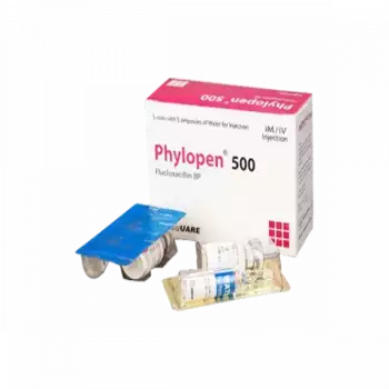 Phylopen - IM/IV 500 Injection