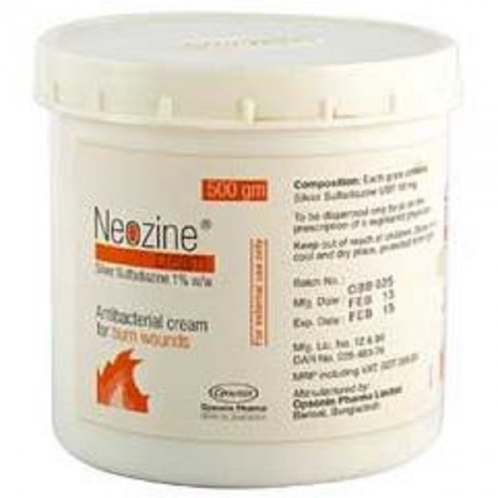 Neozine Cream 500gm